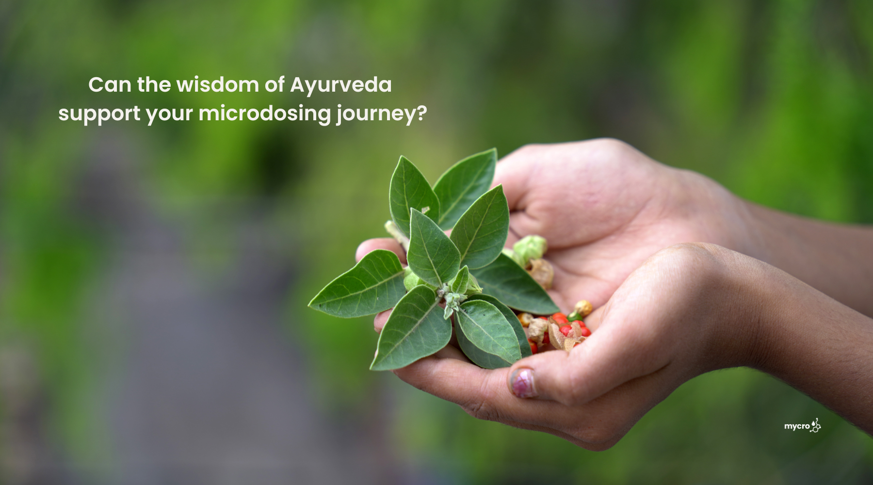 Can you use Ayurvedic wisdom to support microdosing? (Hint: We think you can)