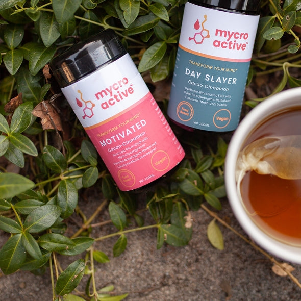 MycroActive™ - MOTIVATED AYURVEDIC STYLE ADAPTOGENIC ELIXIR