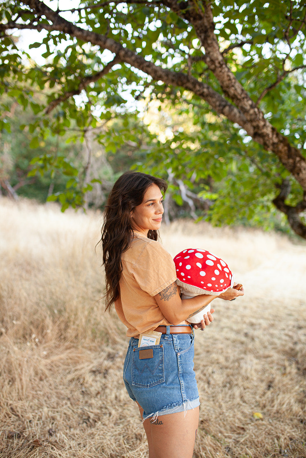 Emotional Support Mushroom - Stuffed Amanita Plushroom