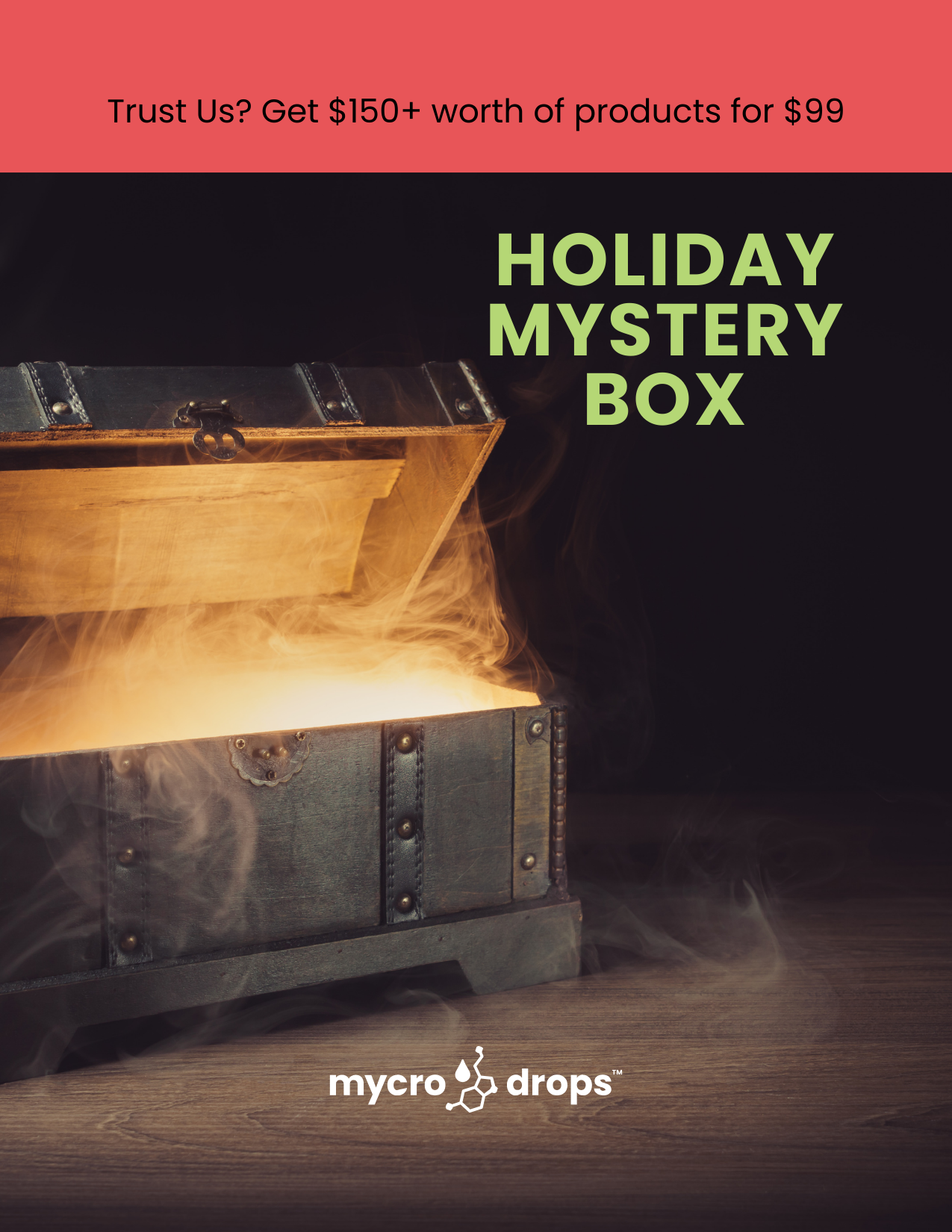 Holiday FUN-ctional Mystery Box - $150 value for $99
