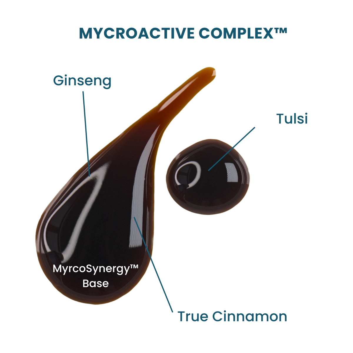 MycroActive™ - MOTIVATED AYURVEDIC STYLE ADAPTOGENIC ELIXIR