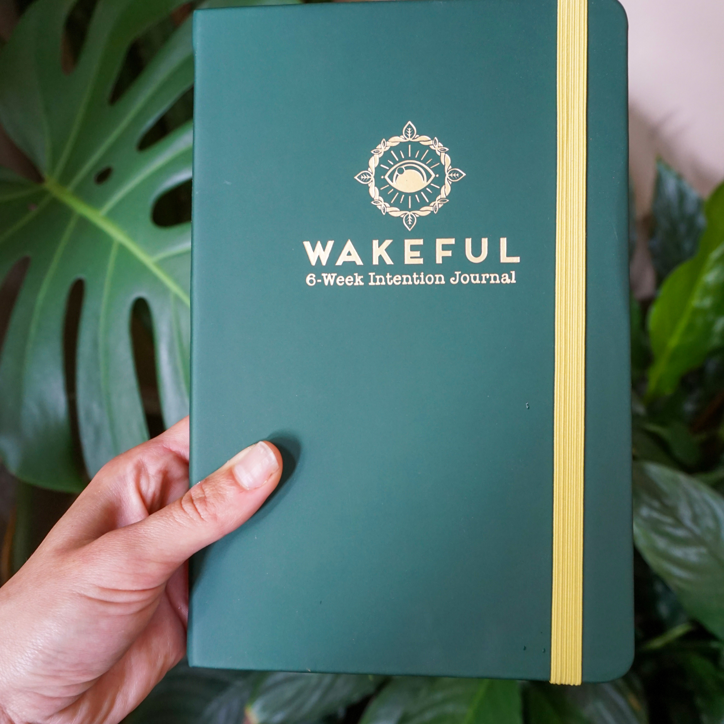 Wakeful Travel 6-week Microdosing Journal