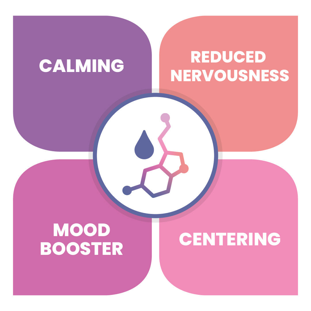 MycroCalm™ Zen Adaptogen Nervous System Calming Capsules - 30ct