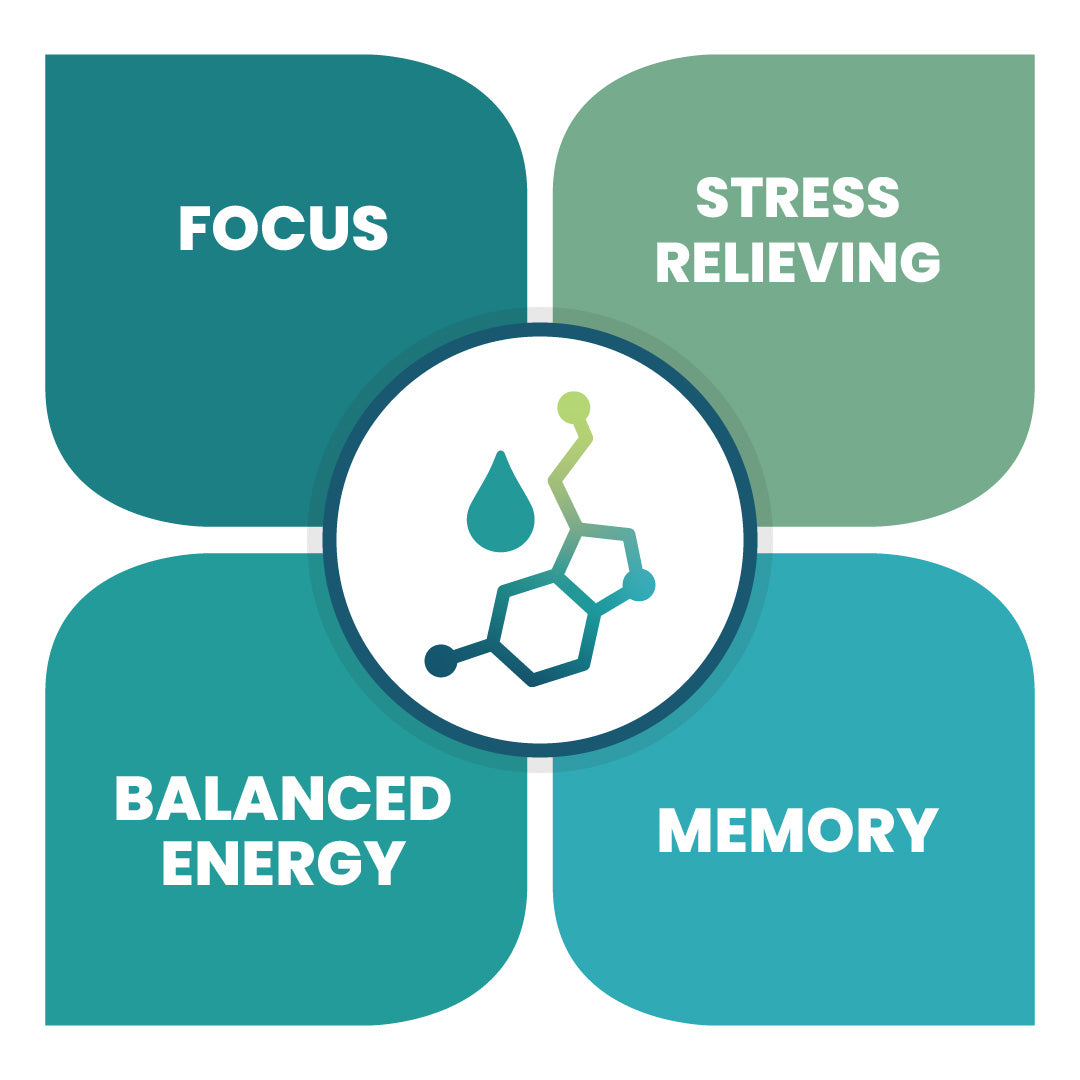 MycroFlow™ - FOCUSED AYURVEDIC STYLE ADAPTOGENIC ELIXIR