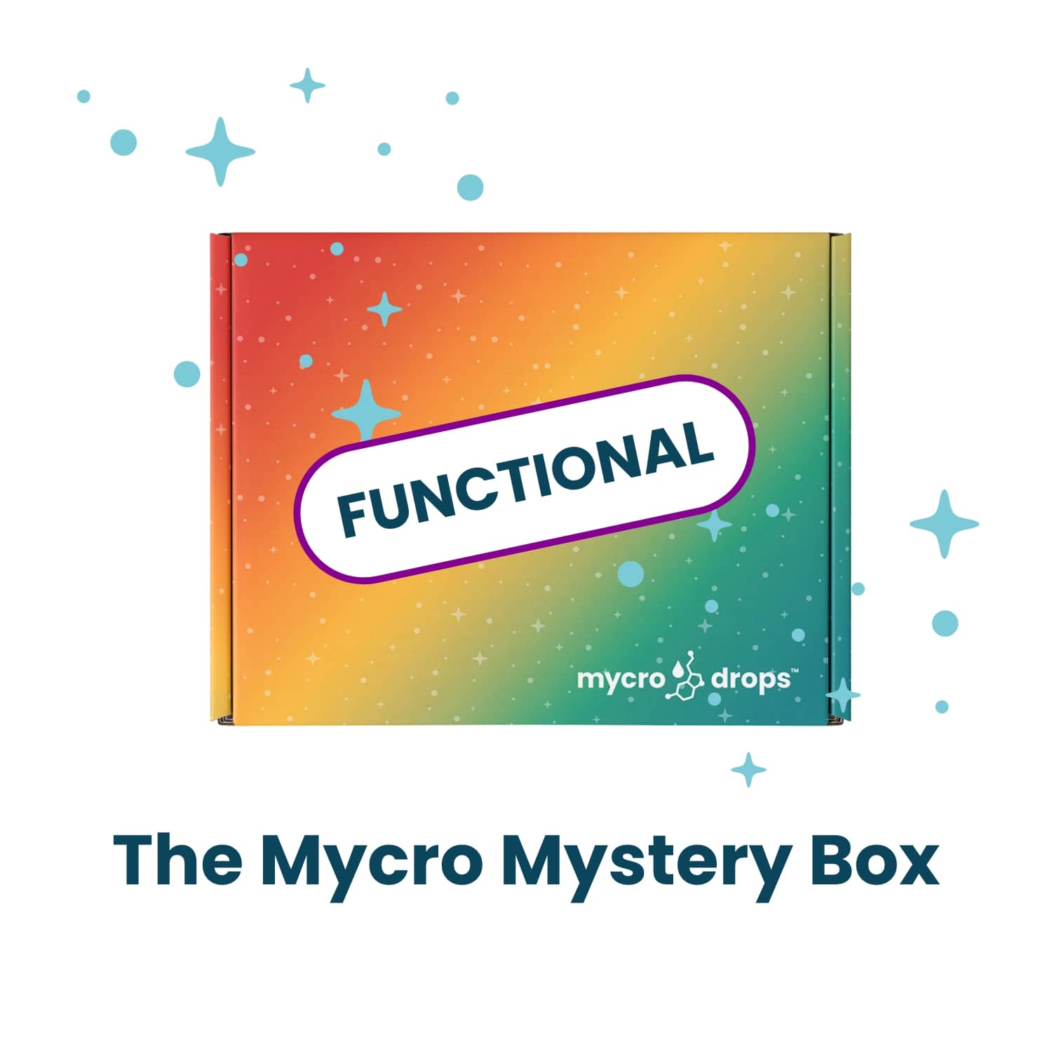 Holiday FUN-ctional Mystery Box - $150 value for $99