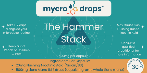 The Hammer Stack - Lions Mane + Niacin - 30 ct