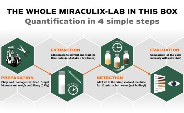 Mycro Q-Test - Home Psilocybin Test Kit