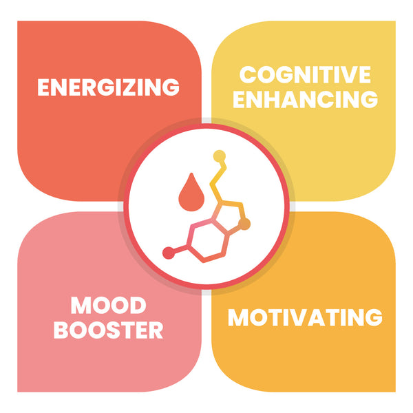 MycroActive™ -  MOTIVATED NOOTROPIC STACK ADAPTOGENIC ELIXIR