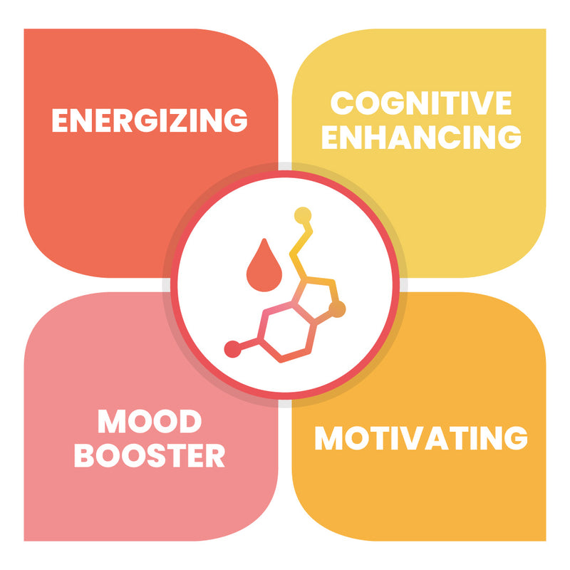 MycroActive™ -  MOTIVATED NOOTROPIC STACK ADAPTOGENIC ELIXIR