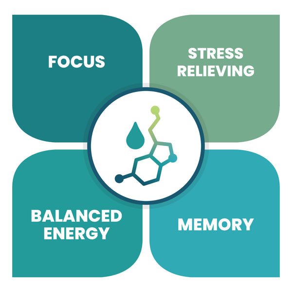 MycroFlow™ - FOCUSED NOOTROPIC STACK ADAPTAGENIC ELIXIR