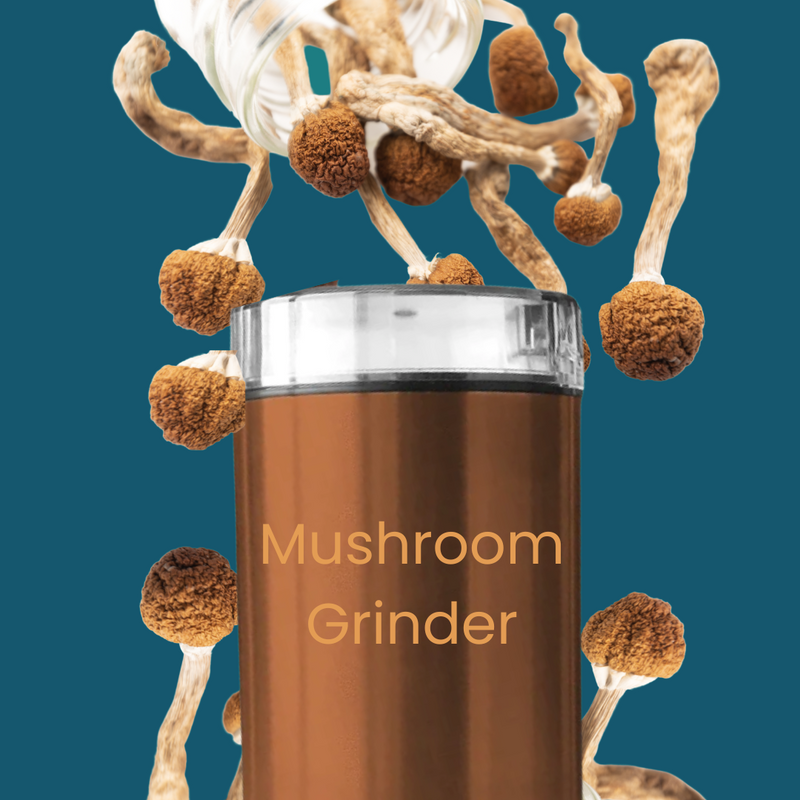 Electric Mushroom, Coffee, Spice Grinder – mycrodrops