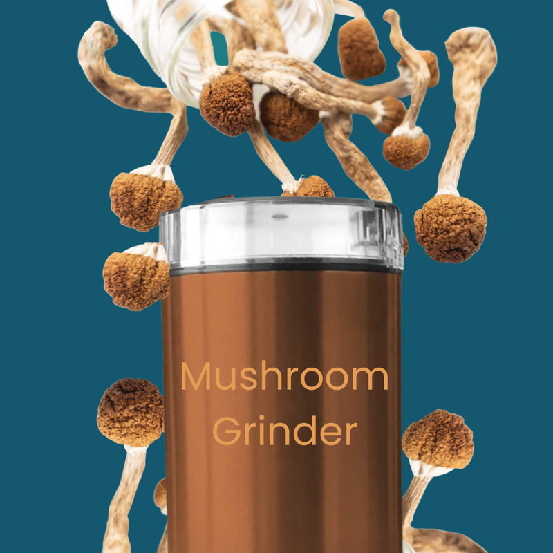 Electric Mushroom, Coffee, Spice Grinder